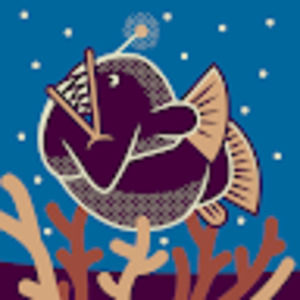 Meet your Posher, Quinn